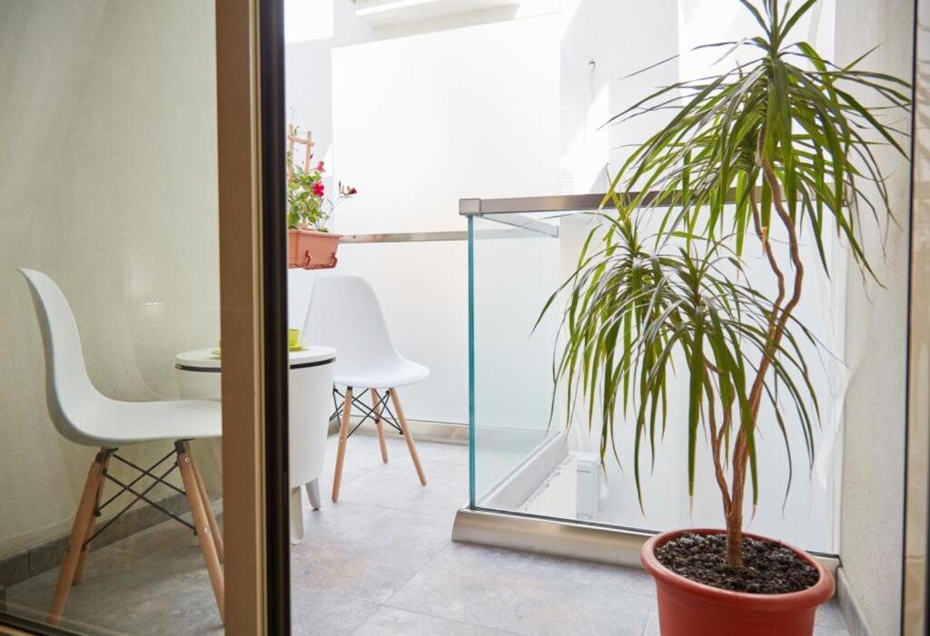 Lemon Bite Studio Stefan Building Navodari Ngoại thất bức ảnh